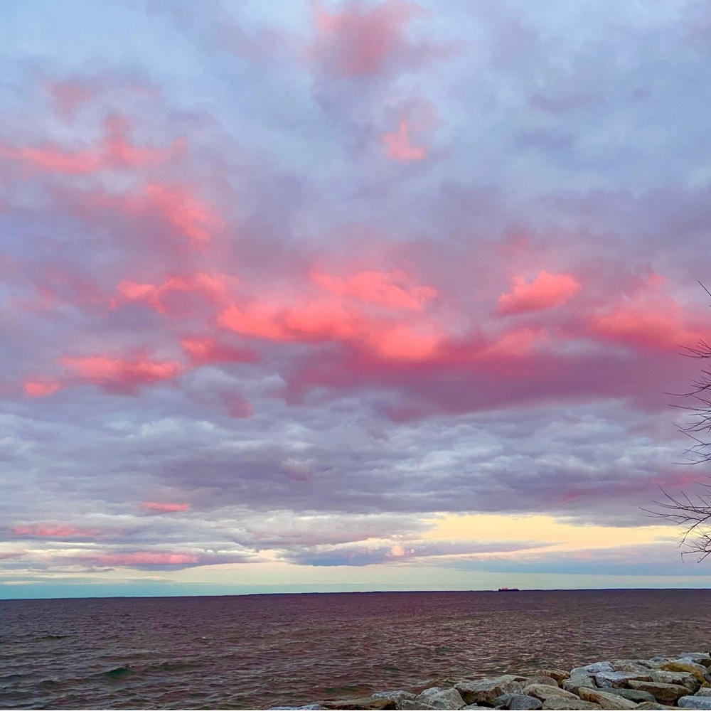 Meet your Posher, Jess